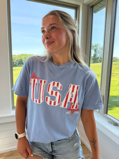 Stars and Stripes Graphic Tee